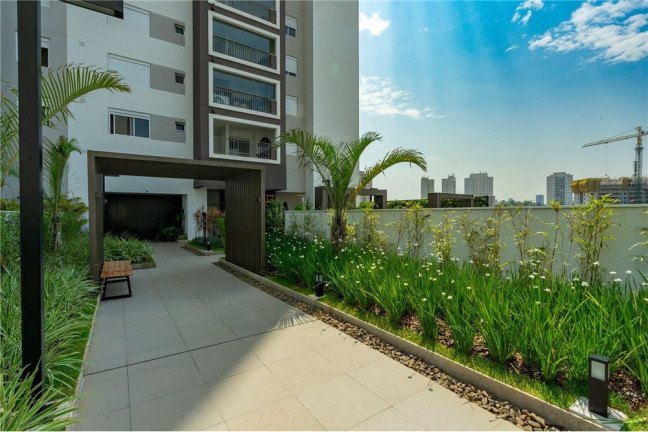 Imagem Apartamento com 2 Quartos à Venda, 68 m² em Jardim Caravelas - São Paulo