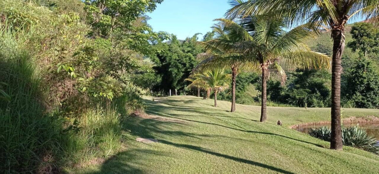 Imagem Chácara com 3 Quartos à Venda,  em Centro - Três Rios