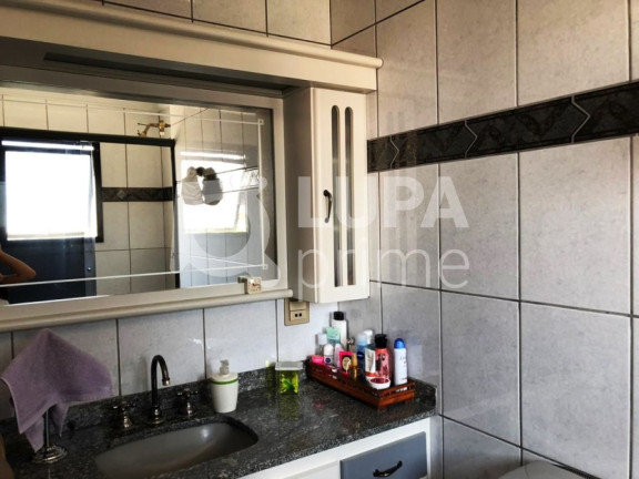 Imagem Apartamento com 3 Quartos à Venda, 125 m² em Vila Paulicéia - São Paulo Imagem Apartamento com 3 Quartos à Venda, 125 m² em Vila Paulicéia - São Paulo