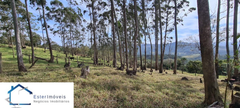 Imagem Imóvel para Alugar ou Temporada, 295.781 m² em Portal Da Serra - Santana De Parnaíba Imagem Imóvel para Alugar ou Temporada, 295.781 m² em Portal Da Serra - Santana De Parnaíba
