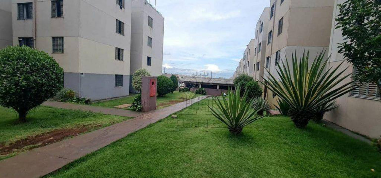 Imagem Apartamento com 2 Quartos à Venda, 54 m² em Jardim Maria Celina - Londrina Imagem Apartamento com 2 Quartos à Venda, 54 m² em Jardim Maria Celina - Londrina