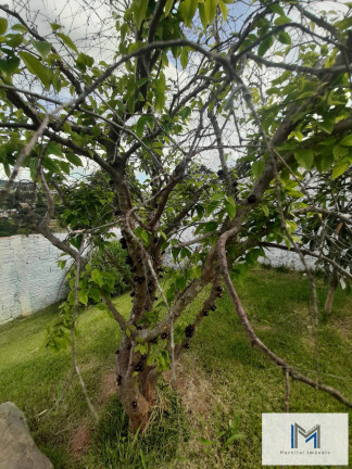 Imagem Chácara com 3 Quartos à Venda, 1.000 m² em Mairinque