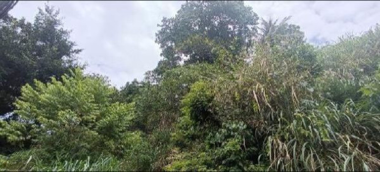 Terreno à Venda, 470 m² em Piratininga - Niterói