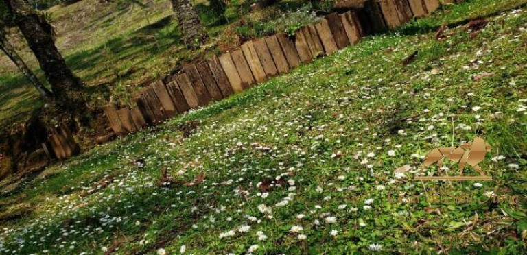 Imagem Terreno à Venda, 1.300 m² em Campos Do Jordão - Campos Do Jordão