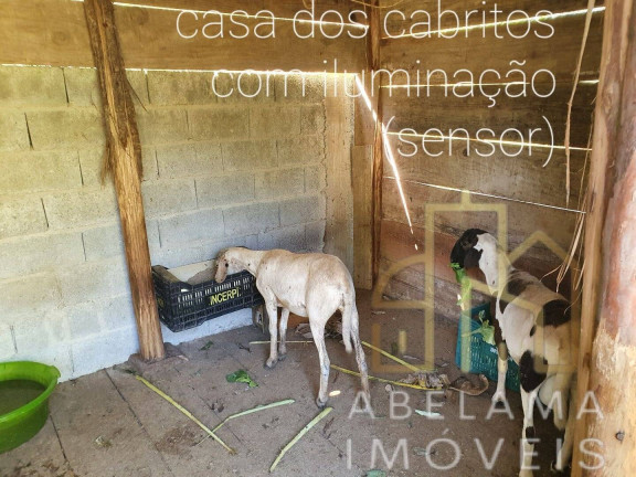 Imagem Chácara com 2 Quartos à Venda, 4.250 m² em Casa Vermelha - Ribeirão Pires