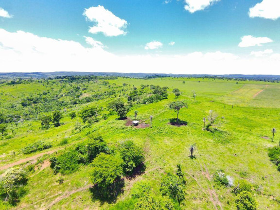 Imagem Fazenda à Venda, em Campinápolis Imagem Fazenda à Venda, em Campinápolis