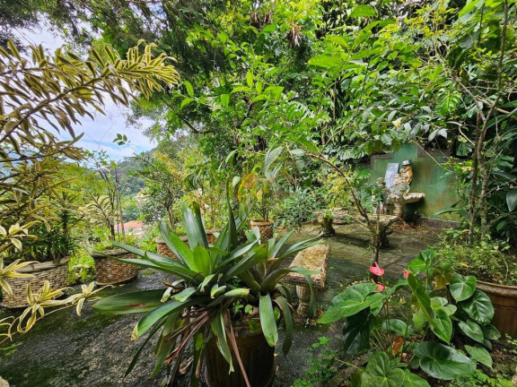 Imagem Casa com 4 Quartos à Venda, 500 m² em Iucas - Teresópolis Imagem Casa com 4 Quartos à Venda, 500 m² em Iucas - Teresópolis