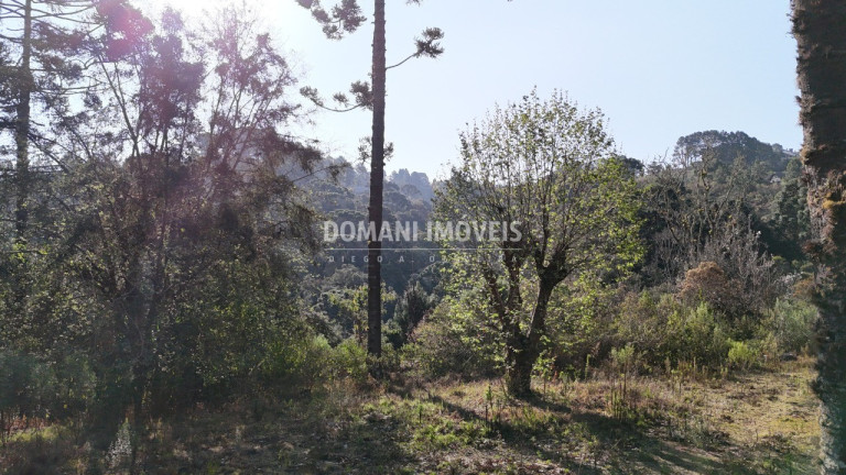 Imagem Imóvel à Venda, em Região Do Atalaia - Campos Do Jordão Imagem Imóvel à Venda, em Região Do Atalaia - Campos Do Jordão
