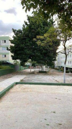 Imagem Apartamento com 3 Quartos à Venda, 56 m² em Jardim Paulicéia - Campinas