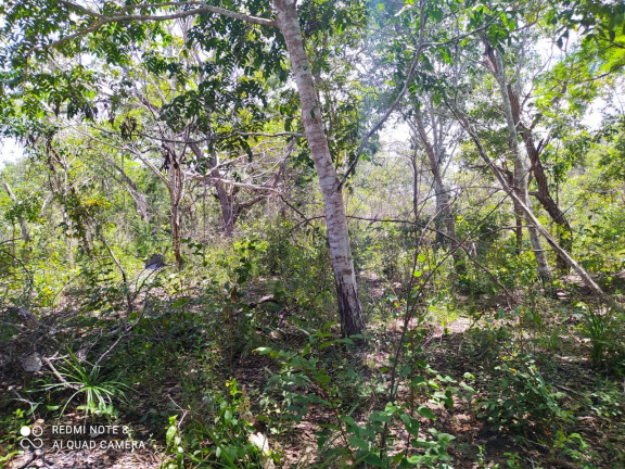 Imagem Imóvel à Venda,  em Mirador/ma - Mirador