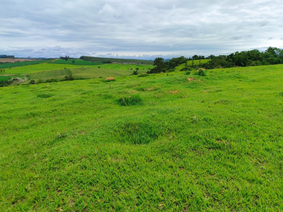 Imóvel com 2 Quartos à Venda, 338.800 m² em Centro - Itapetininga