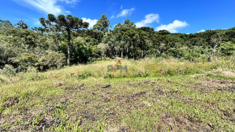 Imóvel à Venda, 6.434 m² em Morro Reuter