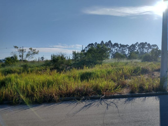 Imagem Terreno à Venda, 360 m² em Areias De Cima - Governador Celso Ramos Imagem Terreno à Venda, 360 m² em Areias De Cima - Governador Celso Ramos