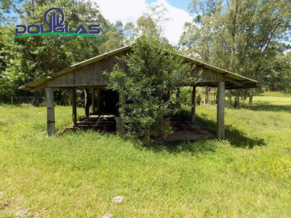 Imagem Chácara com 2 Quartos à Venda, 190.000 m² em Viamão Imagem Chácara com 2 Quartos à Venda, 190.000 m² em Viamão