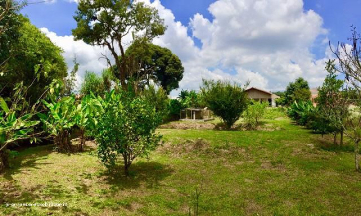 Imagem Chácara à Venda,  em Consultar - Ibiúna