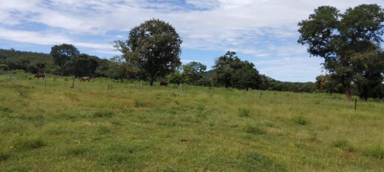 Imagem Fazenda à Venda, 121 m² em Zona Rural - Montes Claros De Goiás