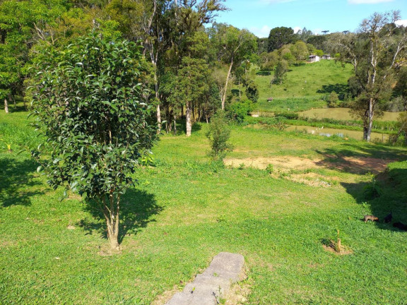 Imagem Chácara à Venda, 9.075 m² em Zona Rural - Quitandinha Imagem Chácara à Venda, 9.075 m² em Zona Rural - Quitandinha