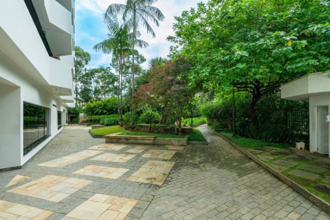 Imagem Imóvel com 3 Quartos à Venda, 185 m² em Vila Suzana - São Paulo Imagem Imóvel com 3 Quartos à Venda, 185 m² em Vila Suzana - São Paulo