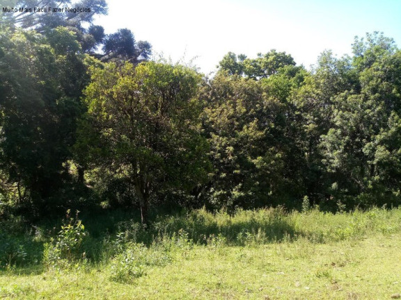 Imagem Terreno à Venda, 3.500 m² em Piá - Nova Petrópolis Imagem Terreno à Venda, 3.500 m² em Piá - Nova Petrópolis