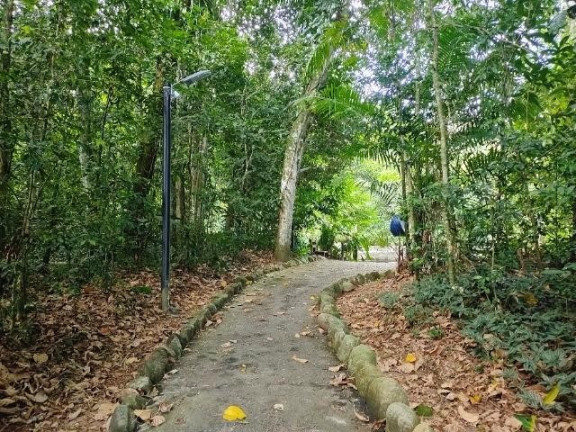 Imagem Terreno à Venda, 360 m² em Massaguaçu - Caraguatatuba