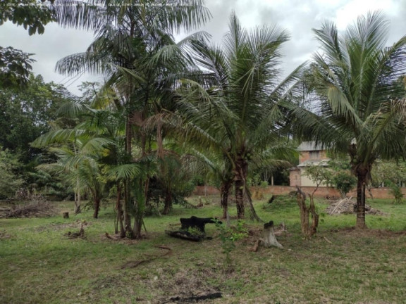 Imagem Chácara à Venda, 5.000 m² em Areia Branca - Porto Velho Imagem Chácara à Venda, 5.000 m² em Areia Branca - Porto Velho