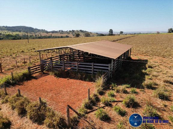 Imagem Chácara à Venda, 3 m² em Zona Rural - Avelinópolis Imagem Chácara à Venda, 3 m² em Zona Rural - Avelinópolis