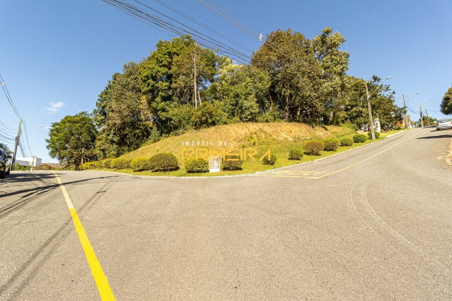 Imagem Terreno à Venda, 1.684 m² em São João - Curitiba Imagem Terreno à Venda, 1.684 m² em São João - Curitiba