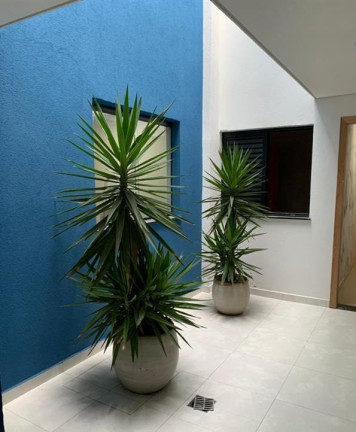 Imagem Apartamento com 2 Quartos à Venda, 39 m² em Cidade Mãe Do Céu - São Paulo Imagem Apartamento com 2 Quartos à Venda, 39 m² em Cidade Mãe Do Céu - São Paulo