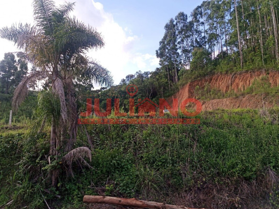 Chácara à Venda, 2.000 m² em Campo Alegre