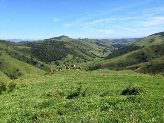 Imagem Fazenda à Venda, 100 m² em Vila Rica - Cunha Imagem Fazenda à Venda, 100 m² em Vila Rica - Cunha