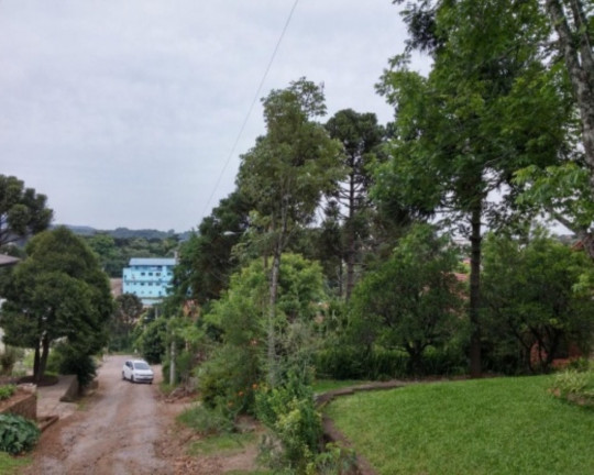 Imagem Casa com 3 Quartos à Venda, 164 m² em Pousada Da Neve - Nova Petrópolis