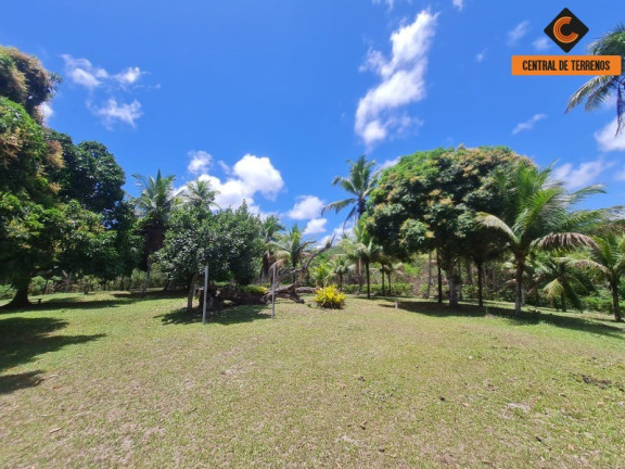 Imagem Imóvel com 2 Quartos à Venda, 466 m² em Jorrinho - Camaçari Imagem Imóvel com 2 Quartos à Venda, 466 m² em Jorrinho - Camaçari