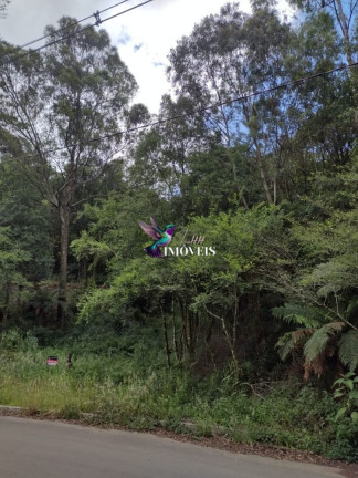 Imagem Terreno à Venda, 611 m² em Vila Do Cedro - Canela Imagem Terreno à Venda, 611 m² em Vila Do Cedro - Canela
