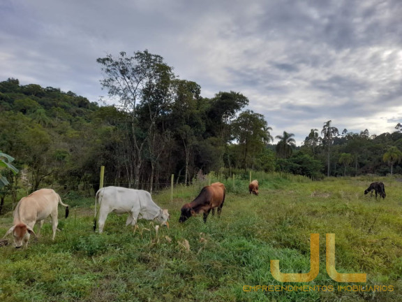 Imagem Terreno à Venda, 100 m² em Alto Cedros - Rio Dos Cedros