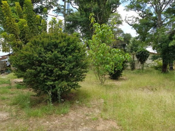 Imagem Chácara com 2 Quartos à Venda, 60 m² em Carmo Messias - Ibiúna
