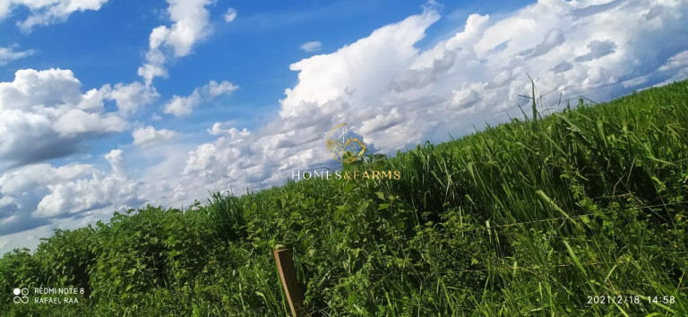 Imagem Imóvel com 3 Quartos à Venda, 423 m² em Zona Rural - Turvelândia Imagem Imóvel com 3 Quartos à Venda, 423 m² em Zona Rural - Turvelândia