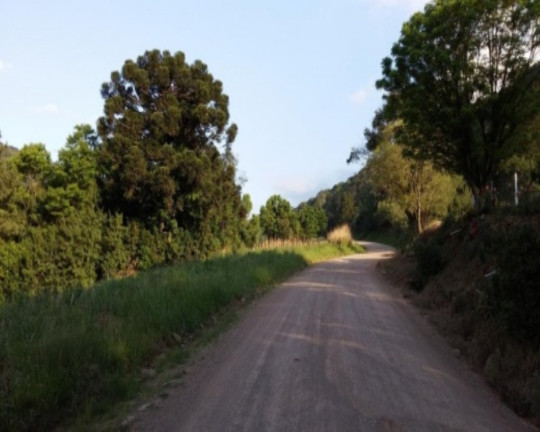 Imagem Terreno à Venda, 8.700 m² em 9 Colônias - Nova Petrópolis Imagem Terreno à Venda, 8.700 m² em 9 Colônias - Nova Petrópolis