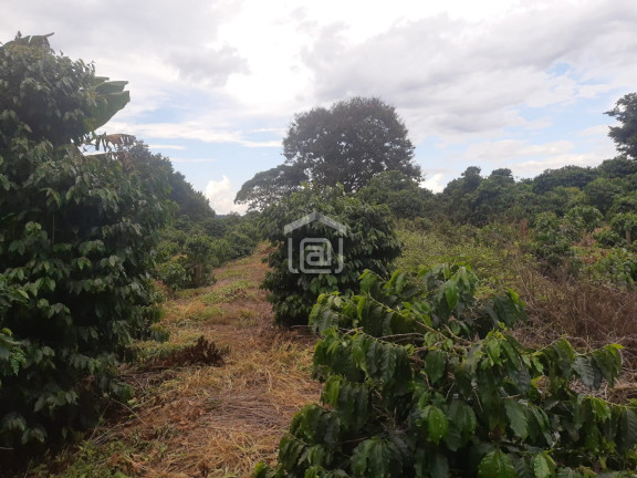 Imagem Imóvel à Venda, 30.000 m² em Conceição (rural) - Palmeiral Imagem Imóvel à Venda, 30.000 m² em Conceição (rural) - Palmeiral