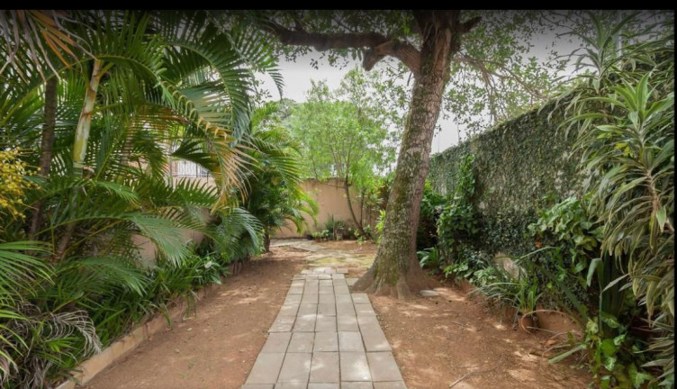 Imagem Imóvel com 2 Quartos à Venda, 63 m² em Jardim Petrópolis - São Paulo Imagem Imóvel com 2 Quartos à Venda, 63 m² em Jardim Petrópolis - São Paulo