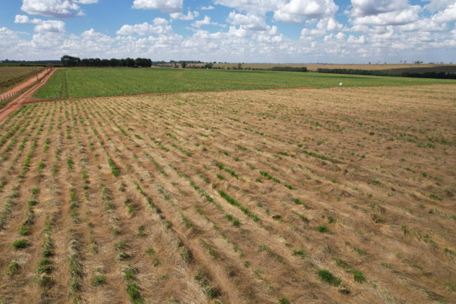 Imagem Fazenda à Venda, 125 m² em Zona Rural - Sud Mennucci Imagem Fazenda à Venda, 125 m² em Zona Rural - Sud Mennucci
