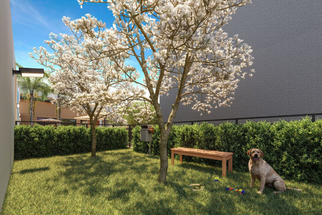 Imagem Apartamento com 2 Quartos à Venda, 32 m² em Ipiranga - São Paulo Imagem Apartamento com 2 Quartos à Venda, 32 m² em Ipiranga - São Paulo