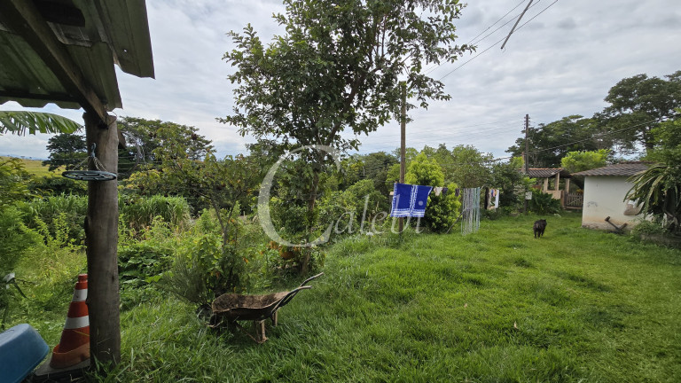 Imagem Chácara com 3 Quartos à Venda, 44.000 m² em Mato Seco - Mogi Guaçu