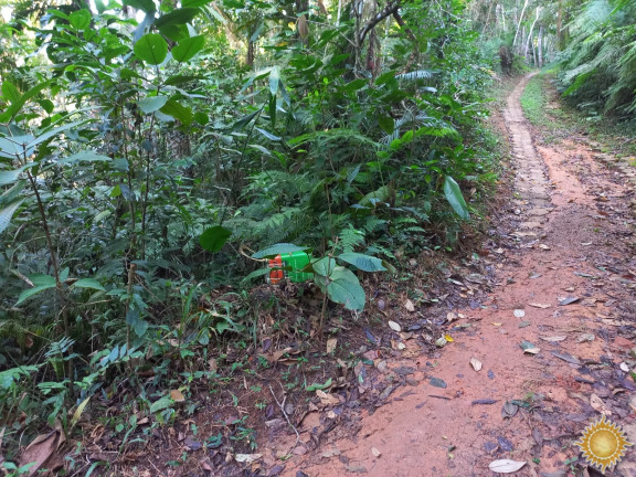 Imagem Terreno à Venda, 1.169 m² em Praia Brava - Ubatuba Imagem Terreno à Venda, 1.169 m² em Praia Brava - Ubatuba