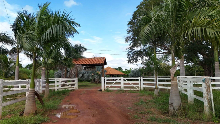 Imagem Chácara com 3 Quartos à Venda, 330.000 m² em Centro - Buritis