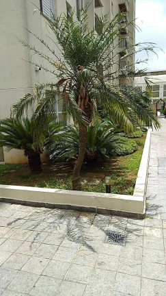 Imagem Apartamento com 2 Quartos à Venda, 88 m² em Ipiranga - São Paulo