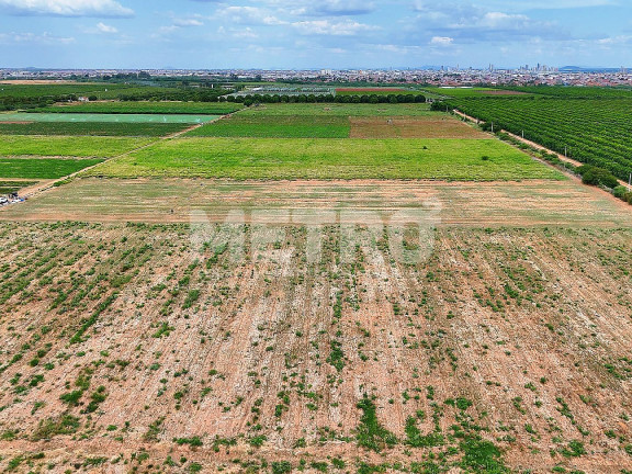 Imagem Fazenda à Venda, em área Rual - Petrolina Imagem Fazenda à Venda, em área Rual - Petrolina