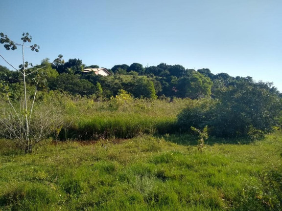 Imagem Imóvel à Venda, 874 m² em Palmeiras - Guaraparia Imagem Imóvel à Venda, 874 m² em Palmeiras - Guaraparia