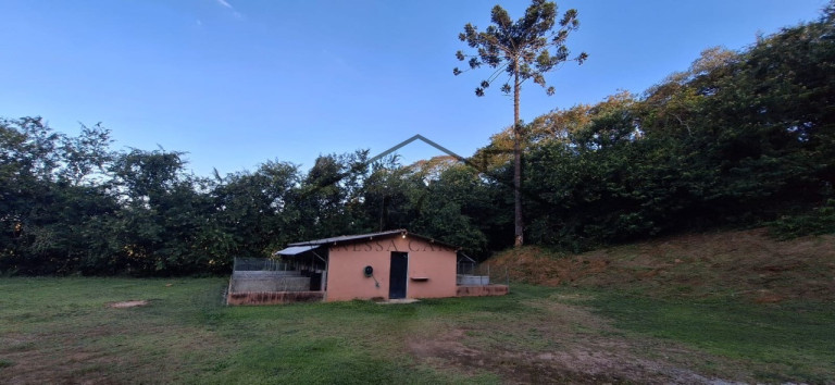 Imagem Imóvel com 2 Quartos à Venda, 4.305 m² em Jardim Camargo (canguera) - São Roque