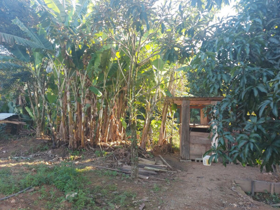Imagem Casa com 3 Quartos à Venda, 125 m² em Testo Alto - Pomerode