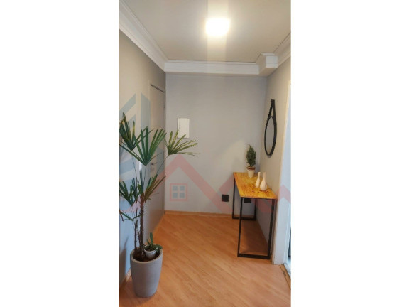 Imagem Apartamento com 2 Quartos à Venda, 50 m² em Brás - São Paulo Imagem Apartamento com 2 Quartos à Venda, 50 m² em Brás - São Paulo